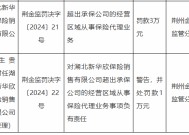 湖北新华欣保险销售有限公司被罚3万元：因超出承保公司的经营区域从事保险代理业务