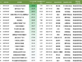 盘点2024股票型基金业绩：申万菱信医药先锋A今年跌26.06%暂居跌幅榜首，安信医药健康A跌幅榜前20中规模最大