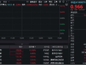 海光信息飙升13%领涨A100，中字头联手助攻，规模最大中证A100ETF基金（562000）逆市上扬，领跑大市！