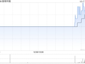 新明中国公布丰盛融资获委任为独立财务顾问