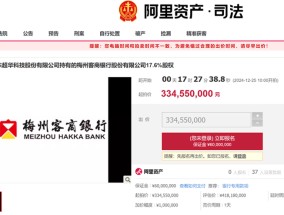 梅州商客银行17.6%股权降价近1亿再度开拍，其持有者超华科技已被退市