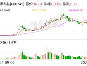 闻泰科技：股东无锡国联集成电路投资中心计划减持不超过2%公司股份