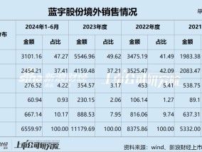 蓝宇股份IPO：核心产品发明专利只有10项 收入增长依赖“价格战” 境外大客户拒绝审计销售真实性成谜