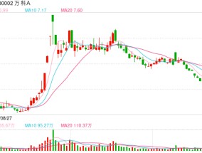 近期债券频繁波动 万科：对于今年将要到期的公开债务会全力以赴